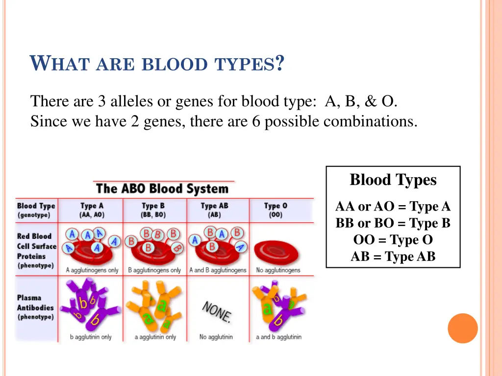 w hat are blood types