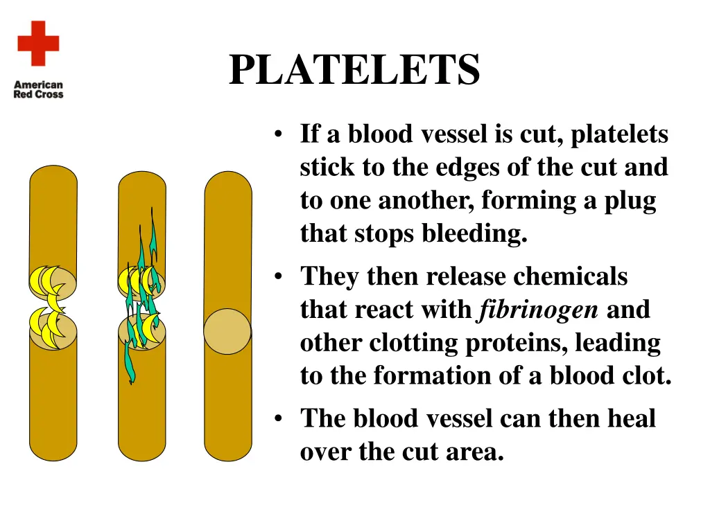 platelets