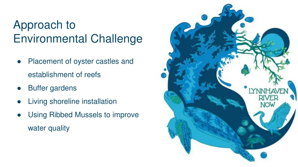 approach to environmental challenge