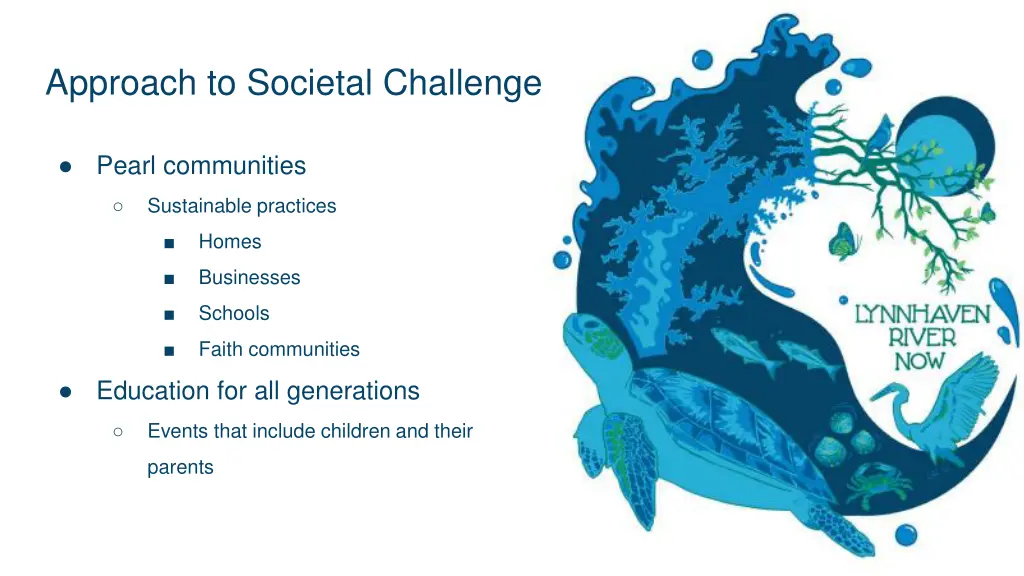 approach to societal challenge