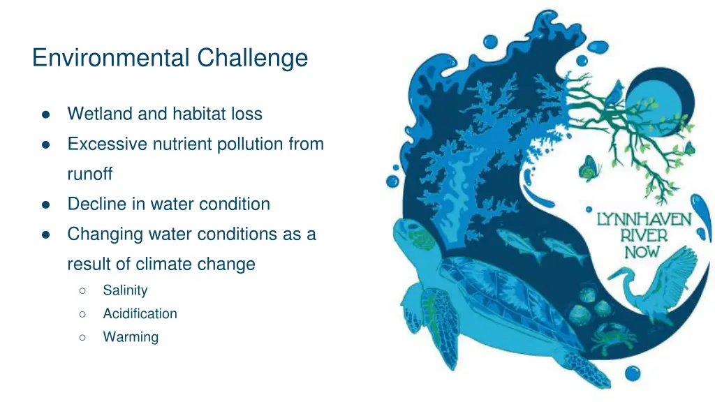 environmental challenge