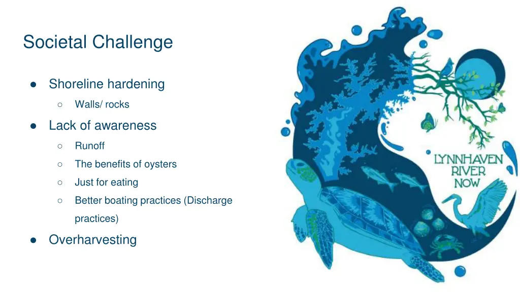 societal challenge