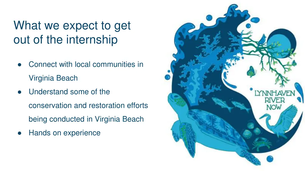 what we expect to get out of the internship
