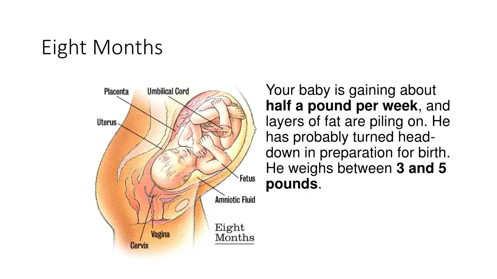 eight months