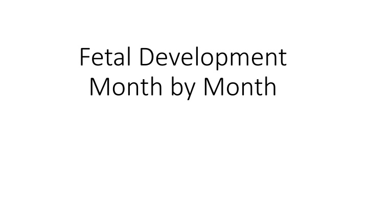 fetal development month by month
