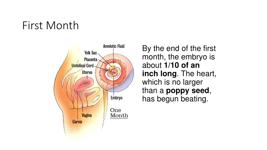 first month