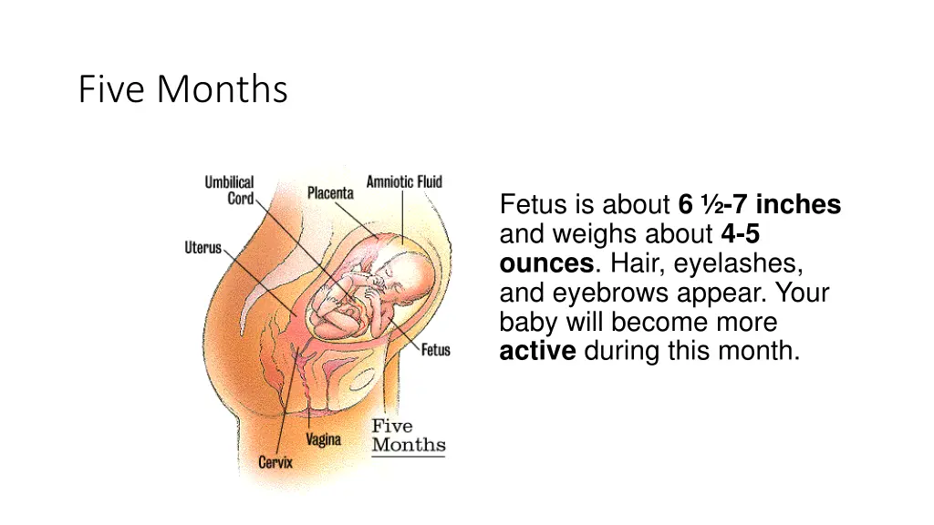 five months