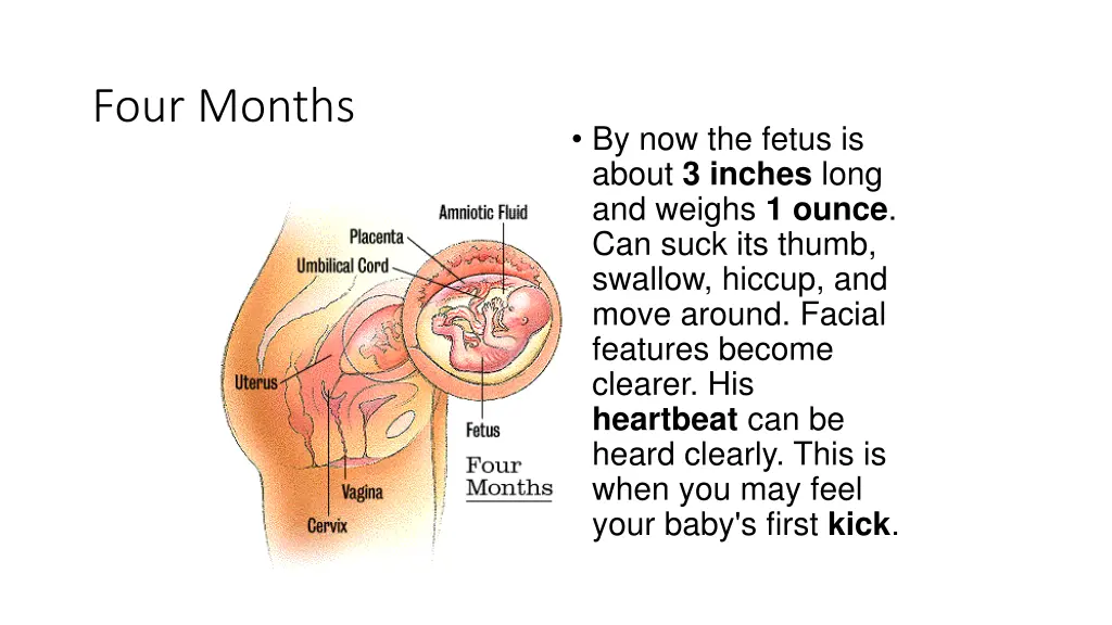 four months