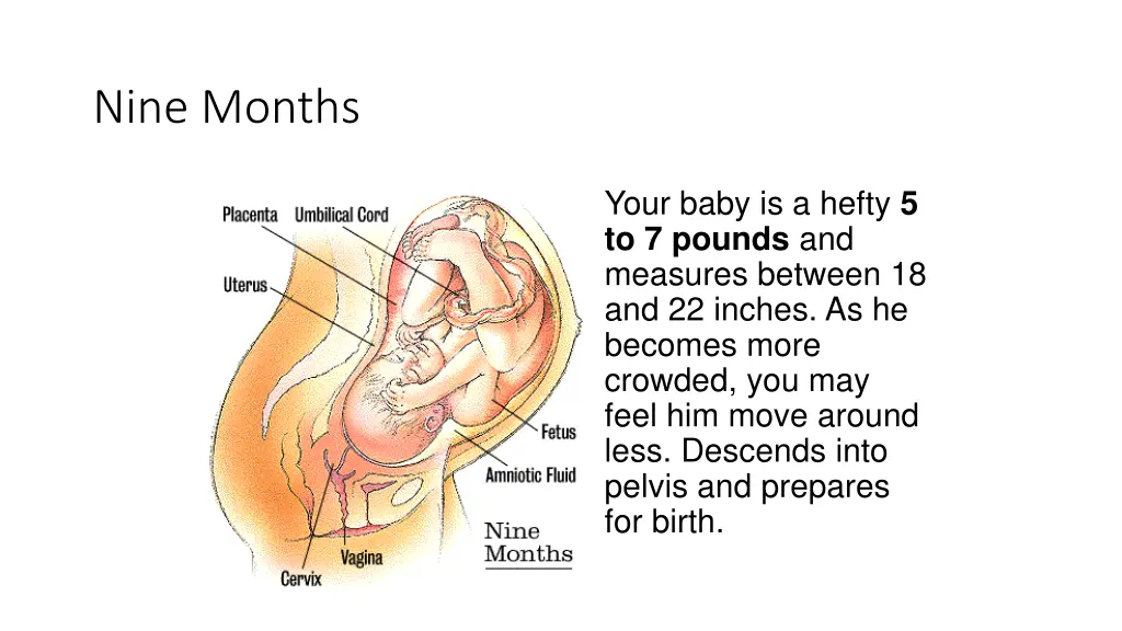 nine months