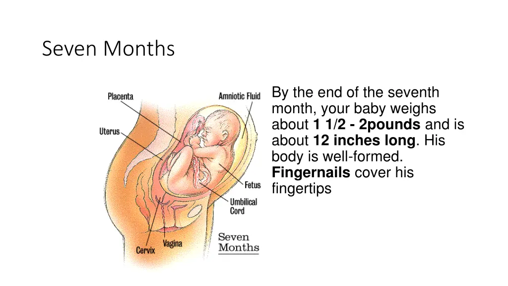 seven months
