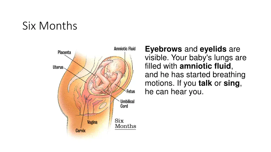 six months