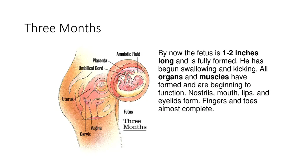 three months