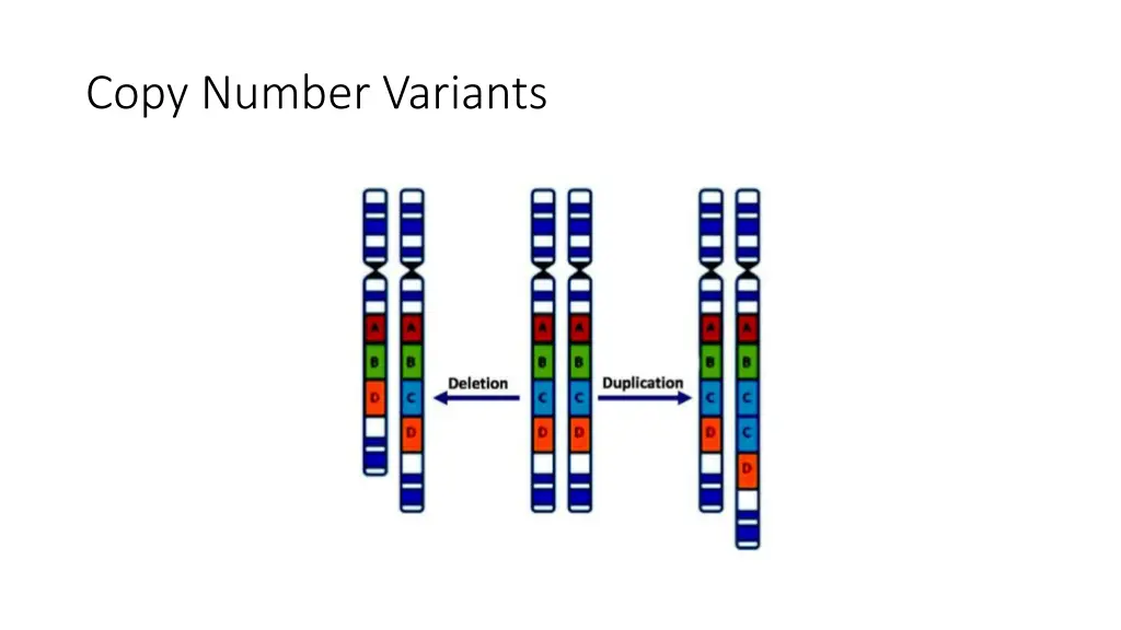 copy number variants