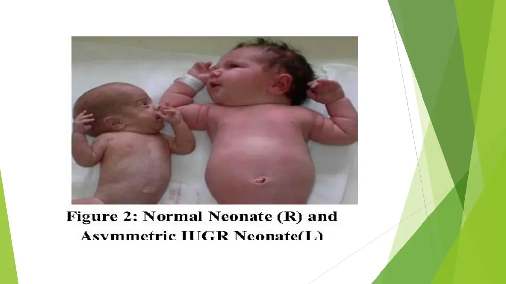 slide15