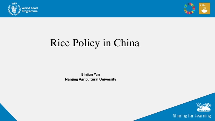 rice policy in china