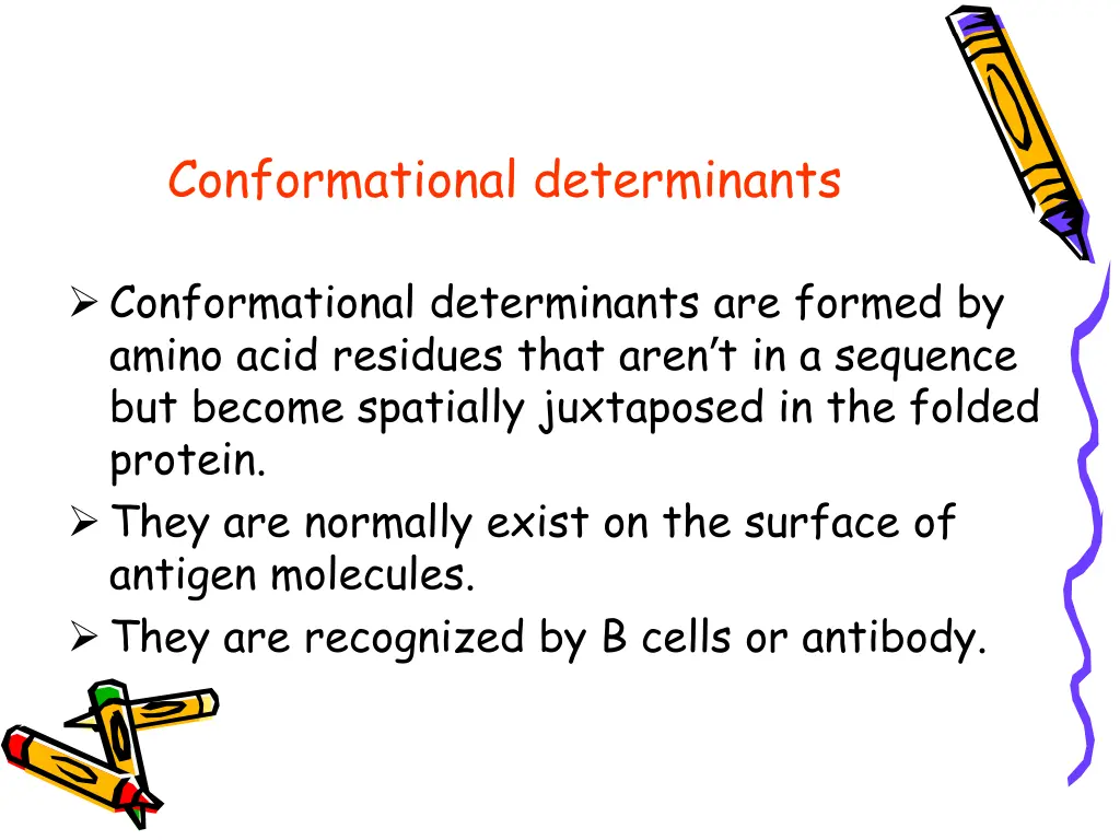 conformational determinants