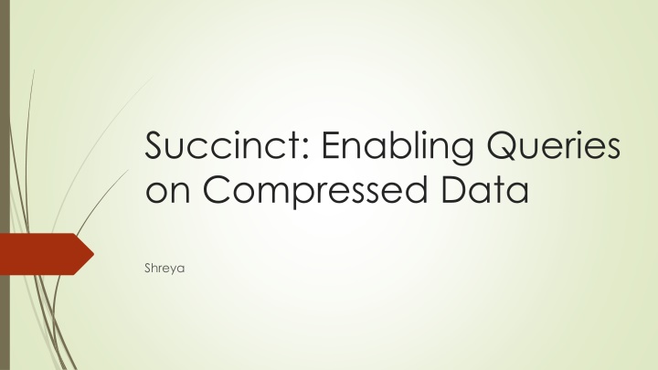 succinct enabling queries on compressed data