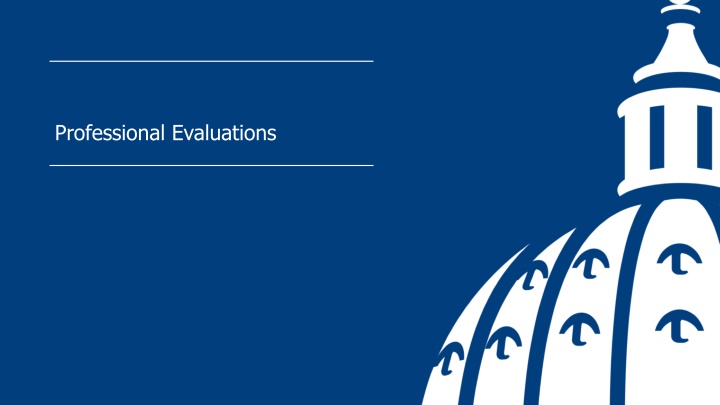 professional evaluations