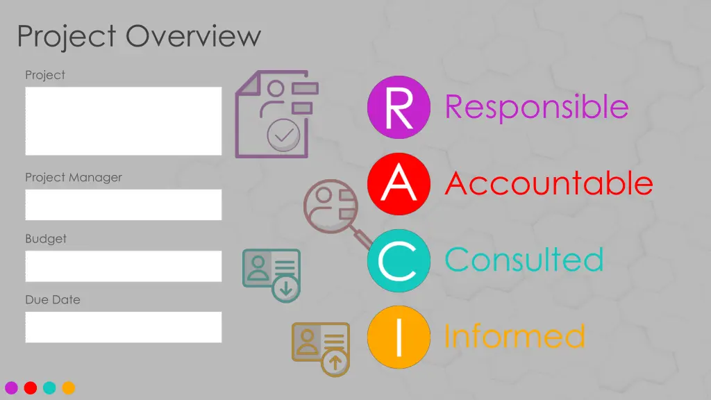 project overview