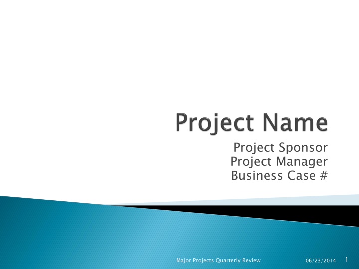 project sponsor project manager business case