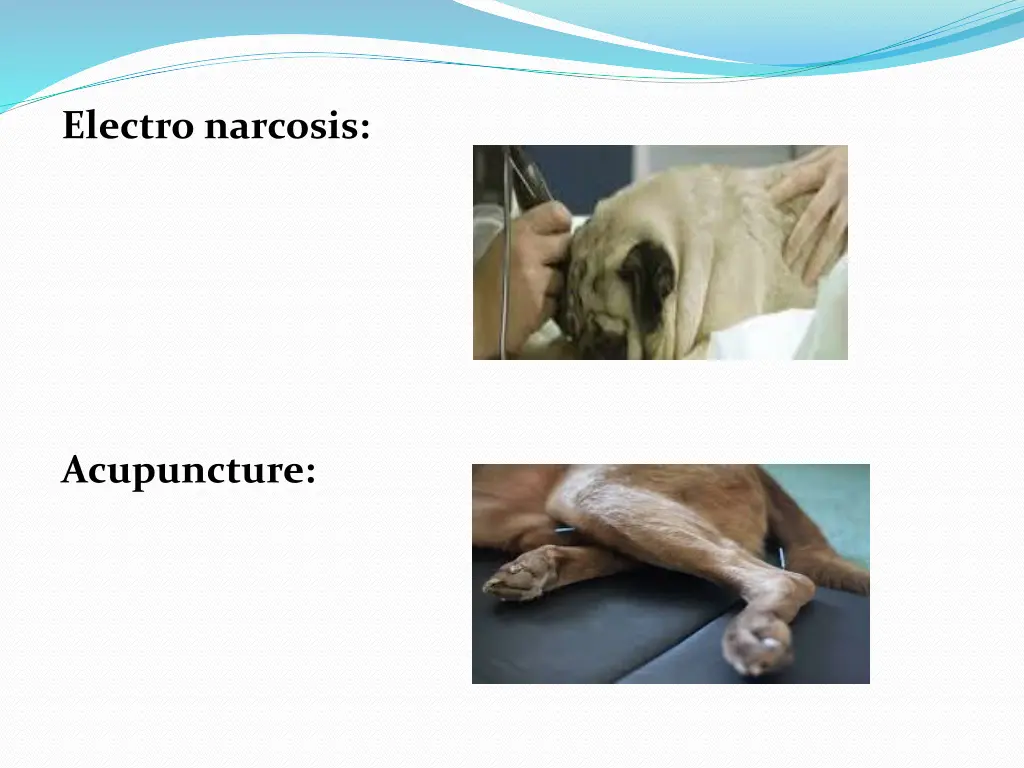 electro narcosis
