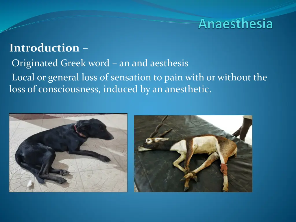 introduction originated greek word