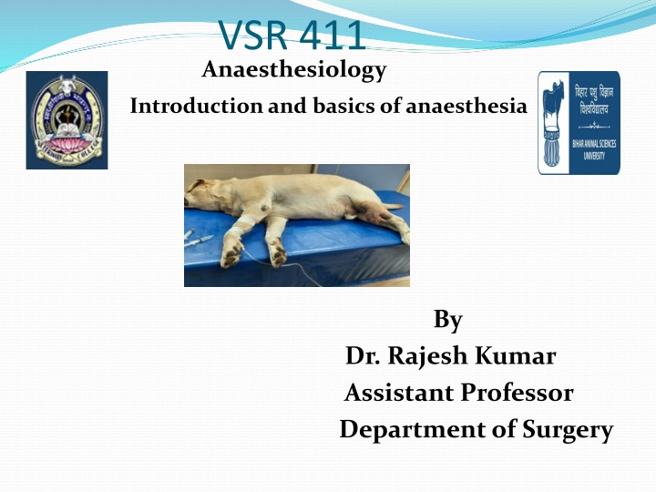 vsr 411 anaesthesiology