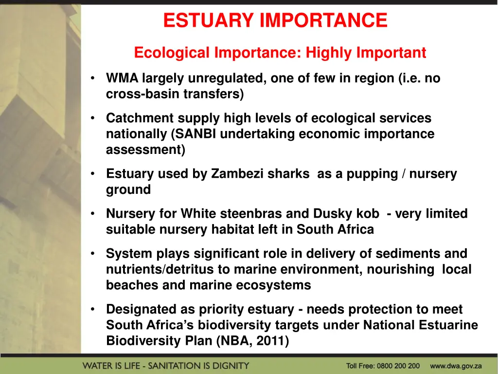 estuary importance
