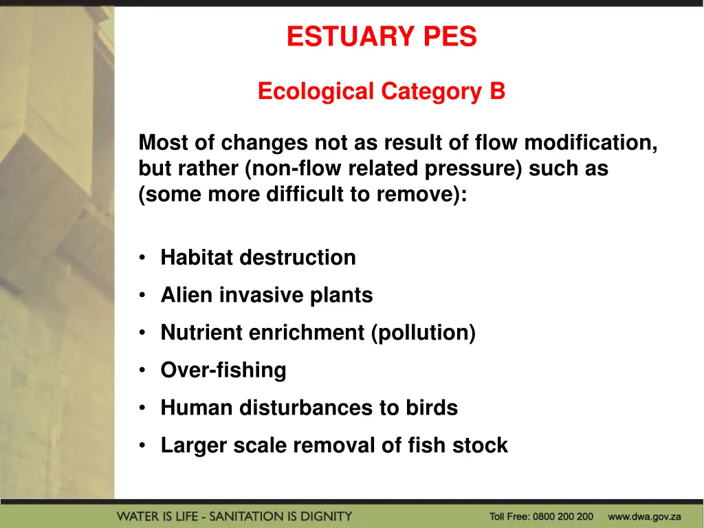 estuary pes