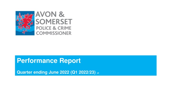 performance report