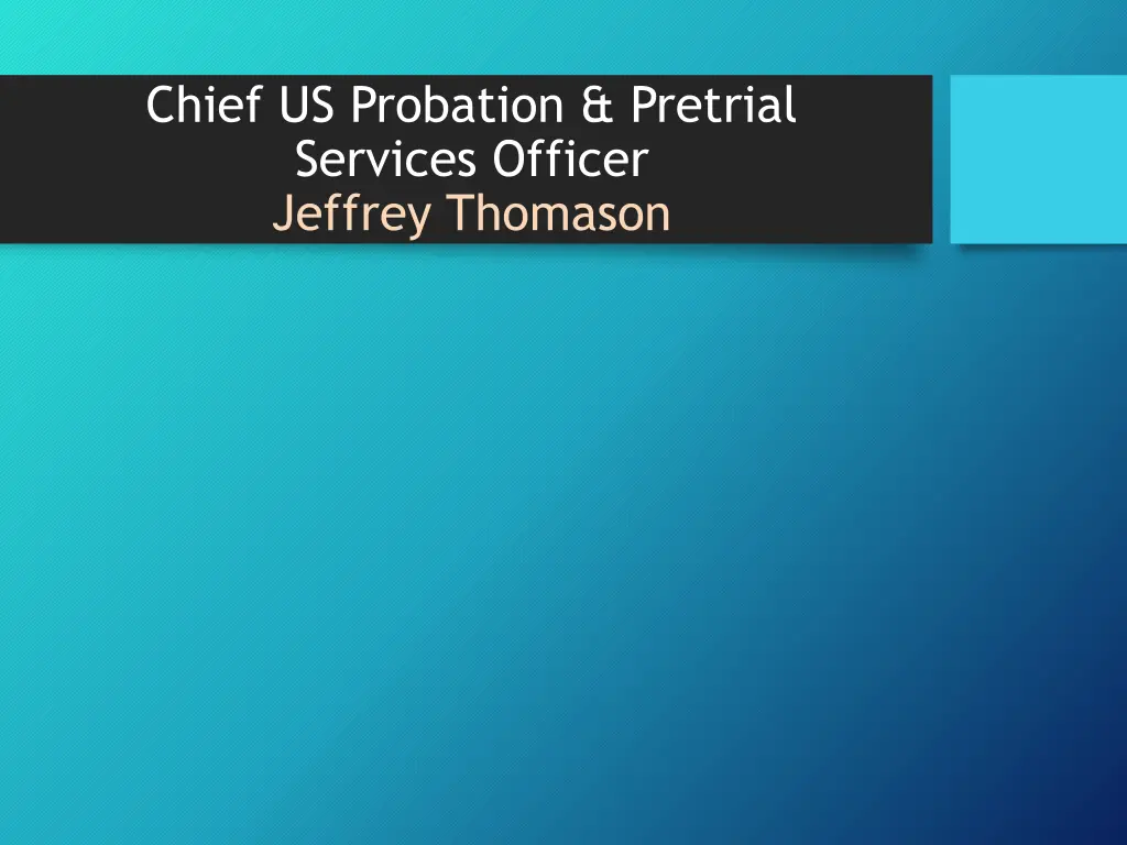 chief us probation pretrial services officer