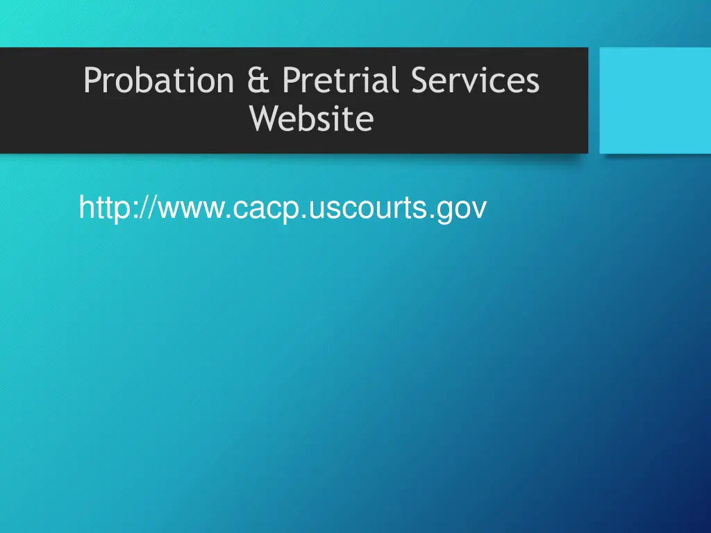 probation pretrial services website