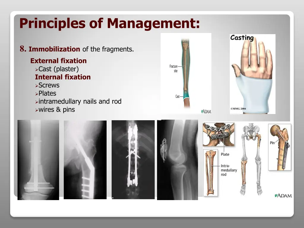 principles of management 1