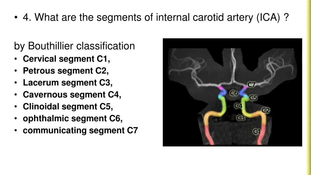 4 what are the segments of internal carotid