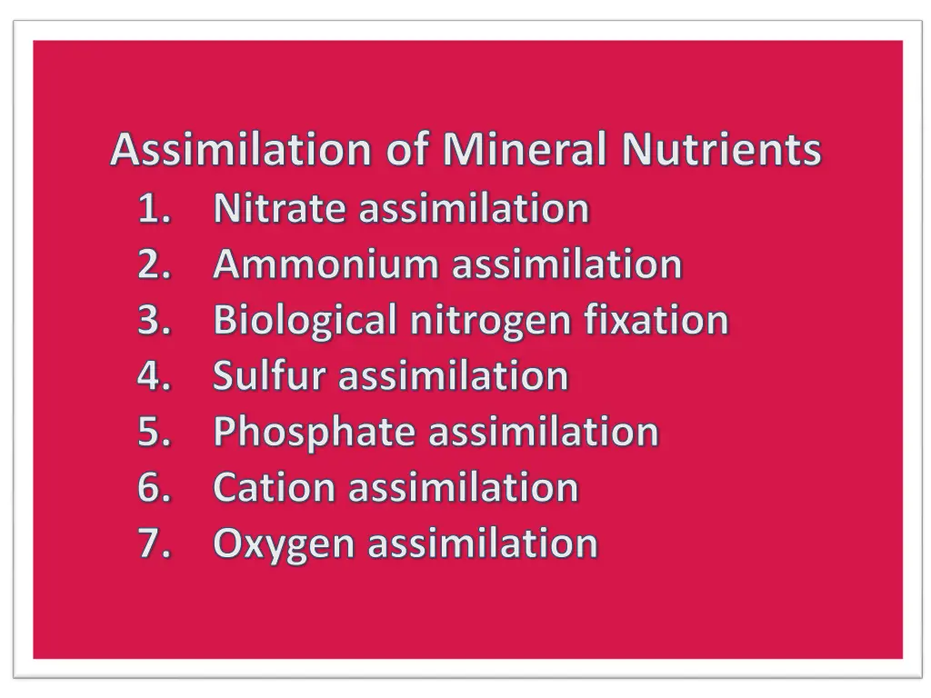 assimilation of mineral nutrients nitrate