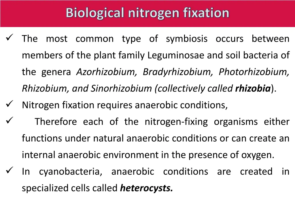biological nitrogen fixation 1