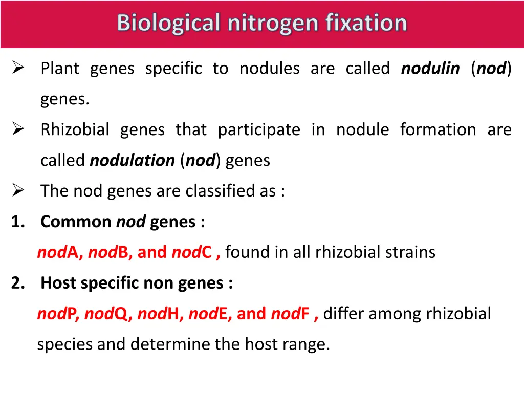 biological nitrogen fixation 11