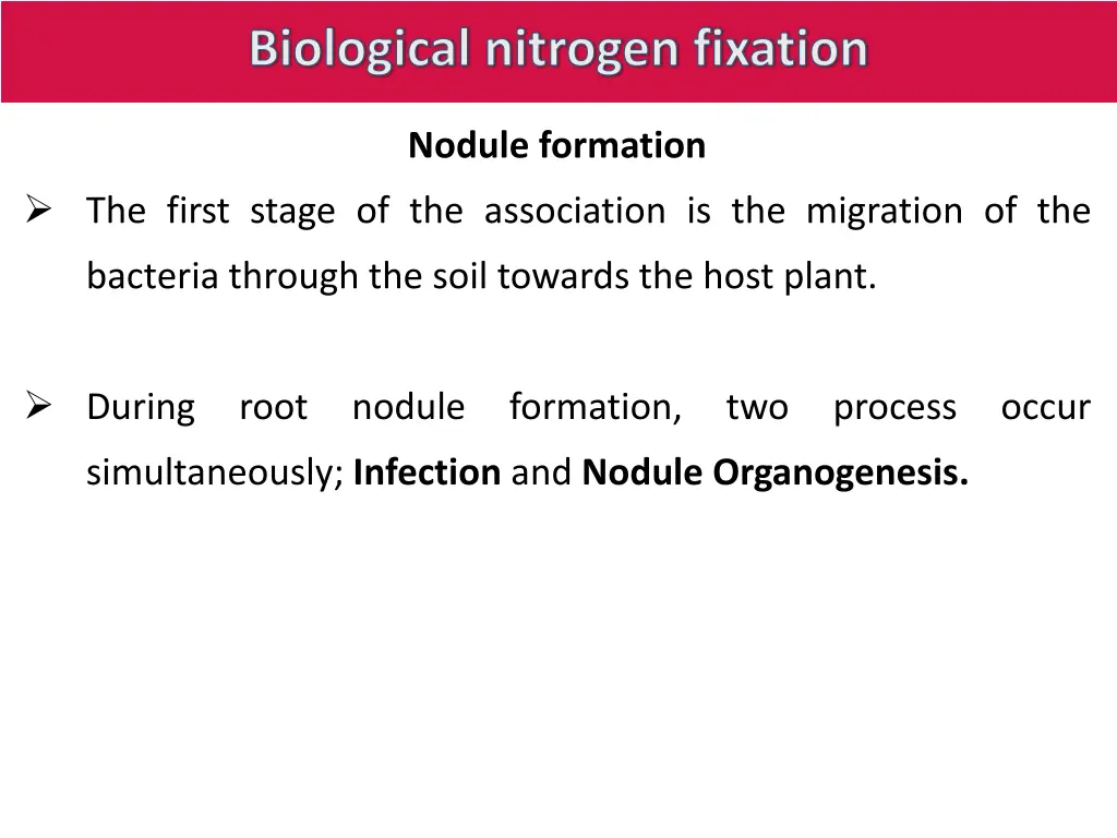 biological nitrogen fixation 12