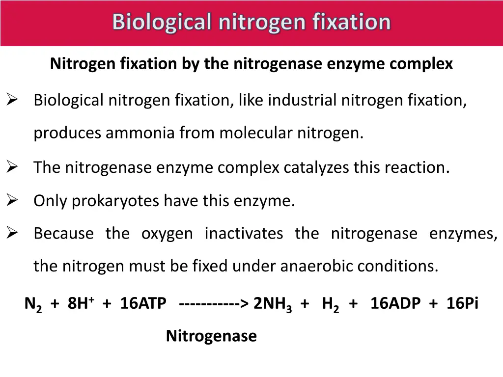 biological nitrogen fixation 16