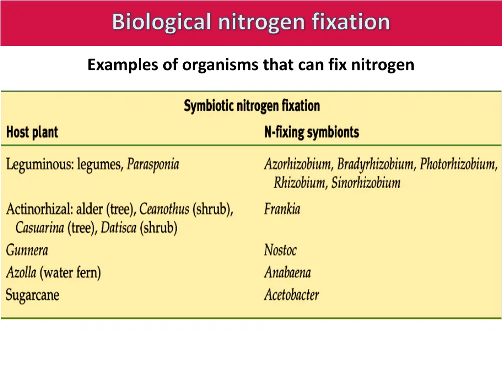 biological nitrogen fixation 2
