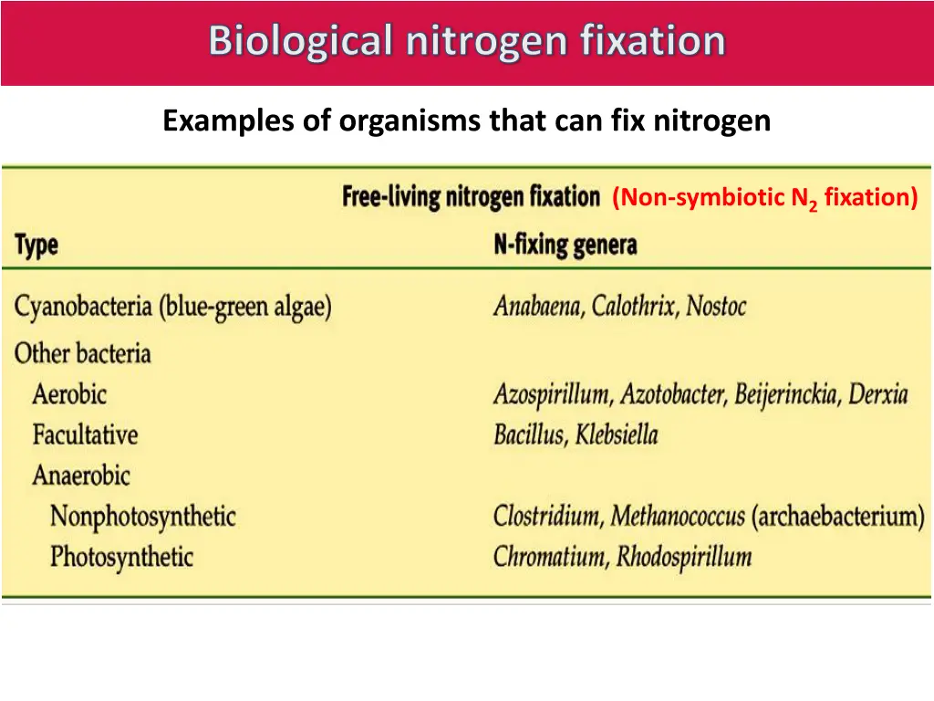 biological nitrogen fixation 3