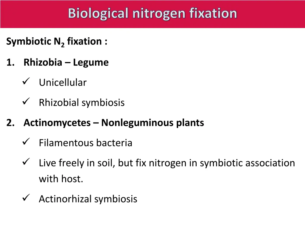 biological nitrogen fixation 4