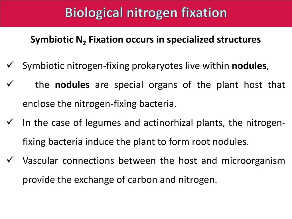 biological nitrogen fixation 6
