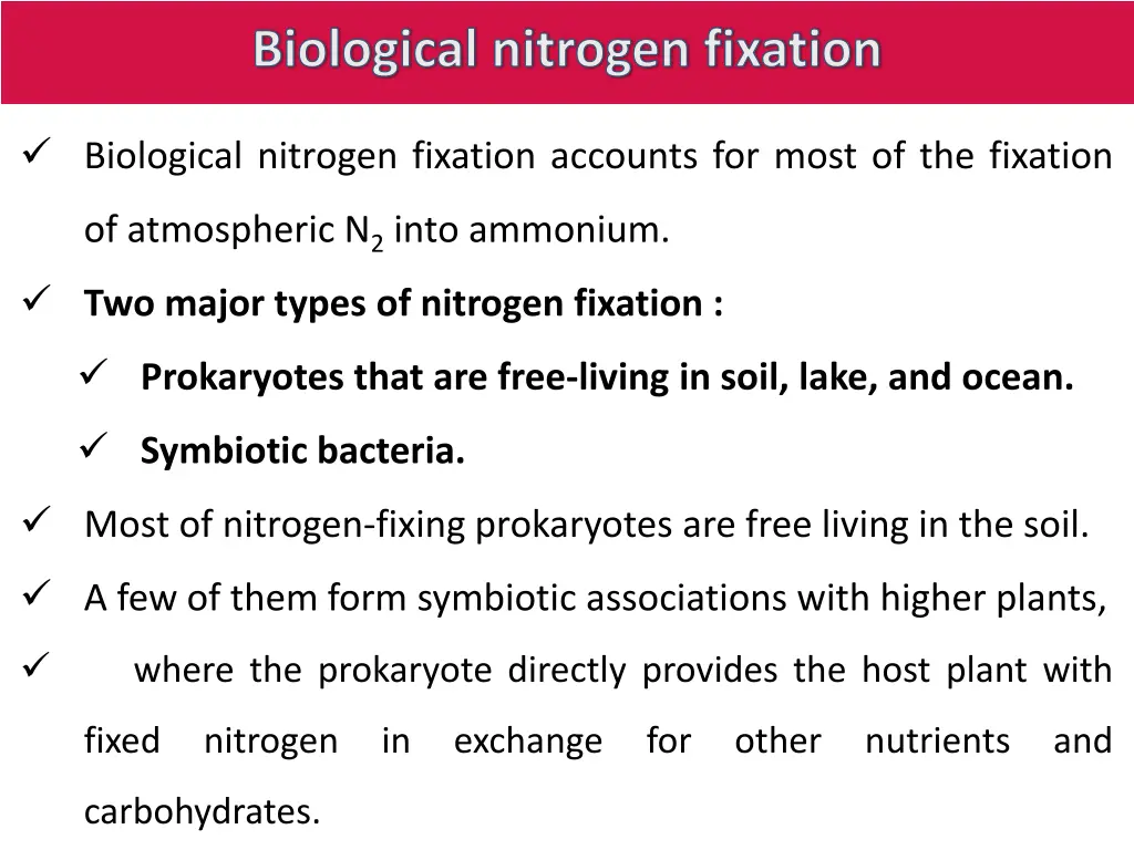 biological nitrogen fixation