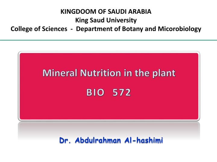 kingdoom of saudi arabia king saud university