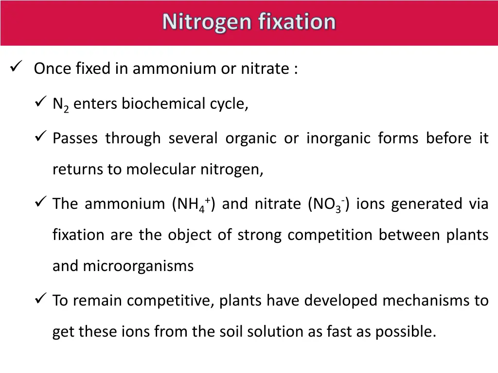 nitrogen fixation 3