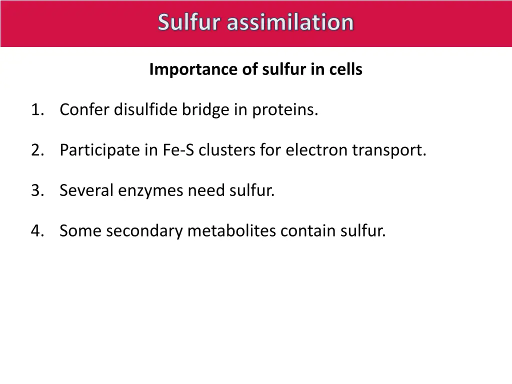 sulfur assimilation
