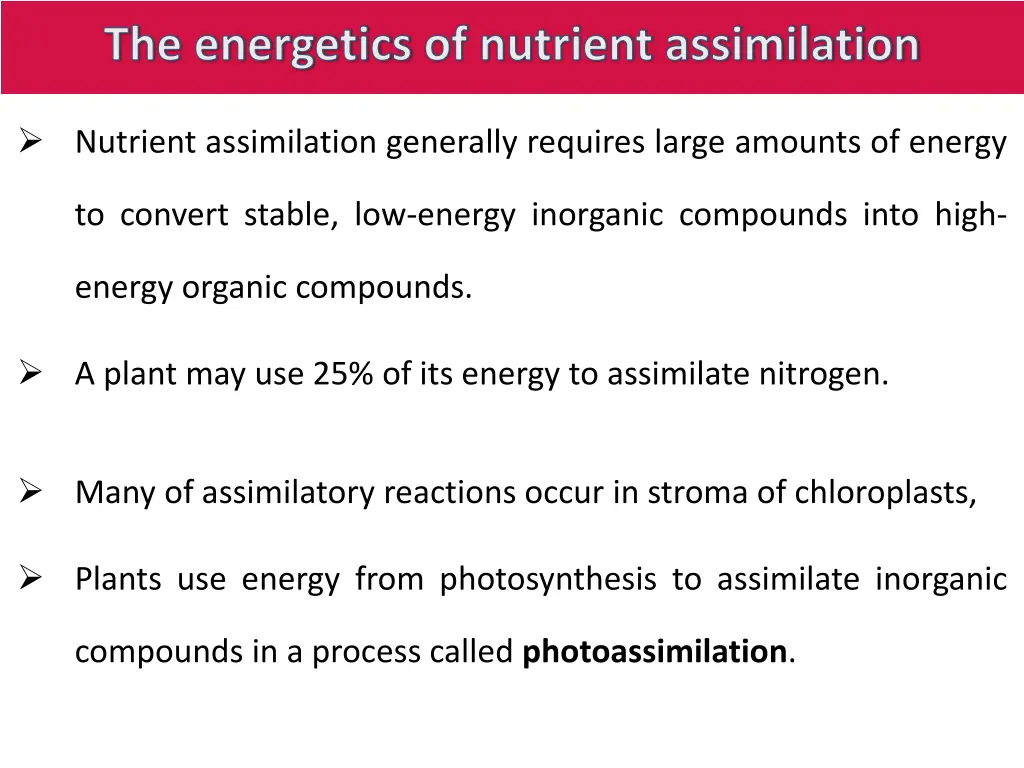 the energetics of nutrient assimilation