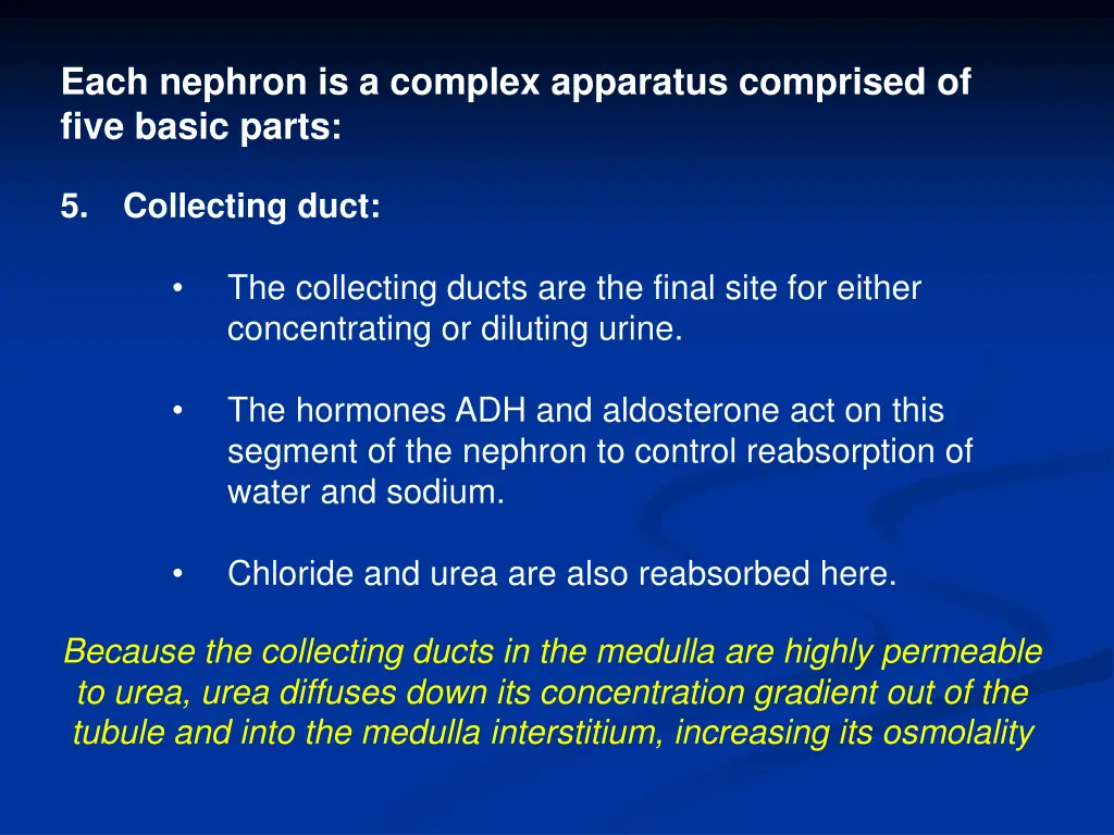 each nephron is a complex apparatus comprised 4
