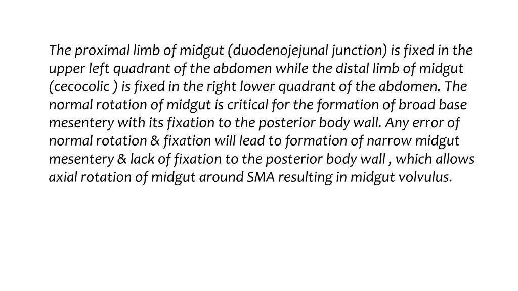 the proximal limb of midgut duodenojejunal